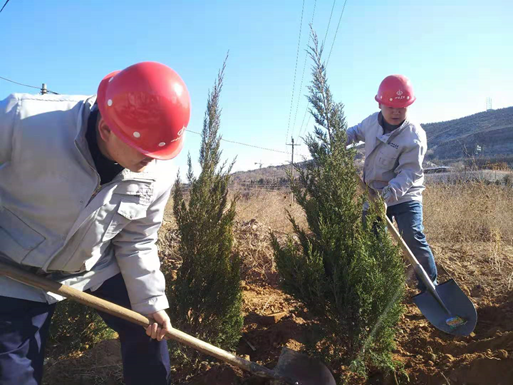 ֲ����������ʱ����ɽ���������š����ж���