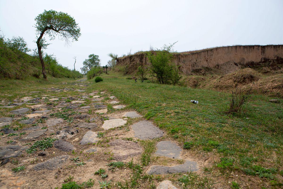 �±���(�й���)���޹�˾ - ����