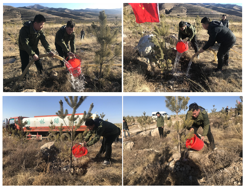 �±���(�й���)���޹�˾ - ����