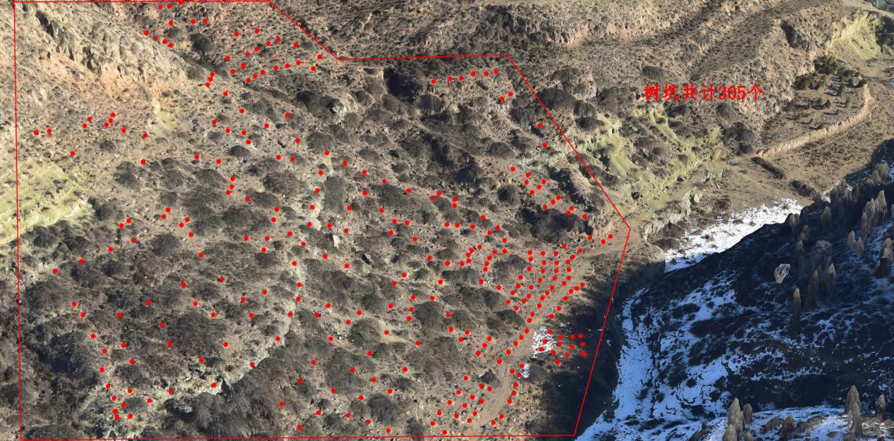 �±���(�й���)���޹�˾ - ����