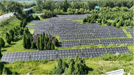 ɽ����Ͷ������������Ϊ�׻�͸����������»���