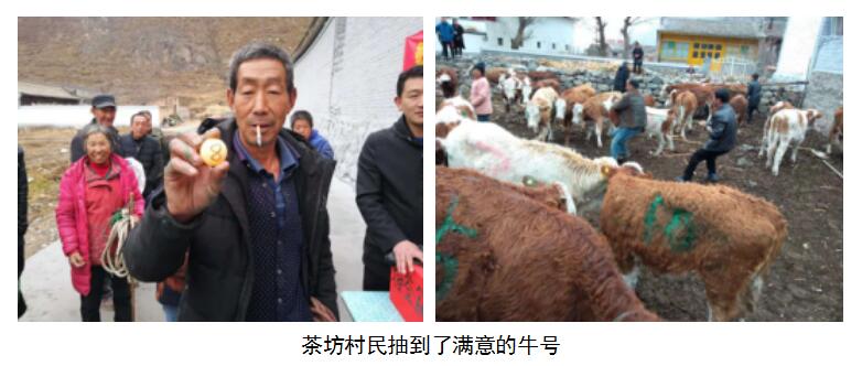 �±���(�й���)���޹�˾ - ����